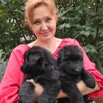 Немецкая овчарка  Форестхофф - @foresthoff.ru - Instagram