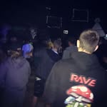 Forest - @foresthoffmann - Instagram