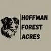 Hoffman Forest Acres - @hoffmanforestacre - TikTok