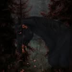 ♧︎︎︎•𝙵𝙾𝚁𝙴𝚂𝚃 𝙷𝚄𝙽𝚃𝙴𝚁𝚂•♧︎︎︎ - @forest_hunters_gang - Instagram