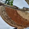 Forest Hunting - @forest.hunting5 - TikTok