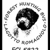 Forest Hunting bvs lagotto - @foresthunting0 - TikTok