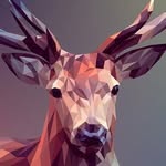Forest Hunting PL - @forest_huntingpl - Instagram
