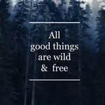 ~therian pack~ - @_forest.hunters_ - Instagram