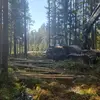 Forest_Hunter - @forest_hunter8 - TikTok