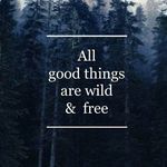 ~therian pack~ - @_forest.hunters_ - Instagram