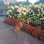 Forest Jackson Farmer - @forestjacksonfarmer - Instagram