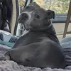 Forrest Johnson - @forrest.johnson8 - TikTok