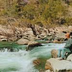 Johnson Forest - @johnsonforest - Instagram