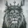 forest king - @forest_king__ - TikTok
