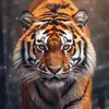🌲forest_king👑 - @islami_baat7 - TikTok