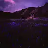 forest king - @forest.king6 - TikTok