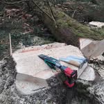 John - @jpleonardforestcontracting - Instagram