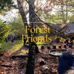 St Leonard’s Forest Friends - @stleonards_forestfriends - Instagram