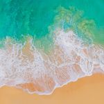 Forest Lin - @forestlin518 - Instagram