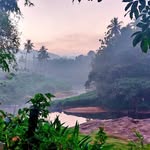 Maya Forest Lodge - @mayaforestlodge - Instagram