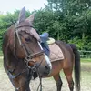 newforest.may - @newforest.may - TikTok