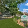 Forest Ridge - @forest.ridge - TikTok