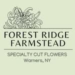 Tabitha || Forest Ridge Farmstead - @forestridgefarmstead - Instagram