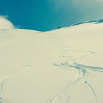 Forest Smith - @foresttsmith - Instagram