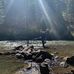 Forest Taylor - Facebook