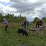 forest walker - @forestwalker72 - Instagram