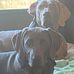 Forrest Walker - Facebook