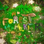 The Forest Walker LLC - @theforestwalkerllc - Instagram