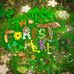 The Forest Walker LLC - Facebook