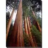 forestslashburn - @forestslashburn - TikTok
