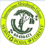 Cúter Servipoda-forest Wilson - @wilsoncuterservipodaforest - Instagram