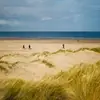 Forrest Wilson - @forrest638 - TikTok
