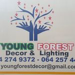 YOUNG FOREST DECOR & LIGHTING - @youngforest_decor_and_lighting - Instagram