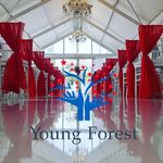 Young Forest Decor & Lighting - @youngforestdecor - Instagram
