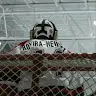 Avery Rovira-Hewett - @avery.forrest - TikTok