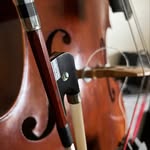 Forrest Baird - @forrestplaysdoublebass - Instagram