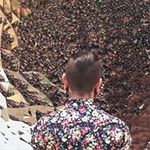 Andrew Forrest Baker - @andrewforrestbaker - Instagram