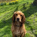 Forrest (Foz) Baker - @forresthavingaball - Instagram