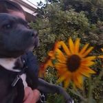 Forrest Jak Baker - @forrest.baker44 - Instagram