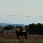 Barlow Forrest - @barlowforrest - Instagram