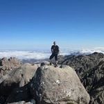 Barry Forrest - @barryforrest1 - Instagram