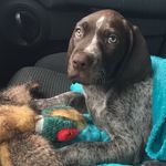 Forrest_barrGSP - @forrest_gsp - Instagram