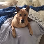 Forrest Baxter - @forrestbaxter - Instagram