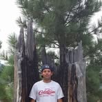 Forrest Benedict - Facebook