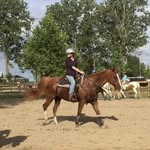 Forrest Is My Best Friend - @forrest_and_lexi - Instagram