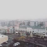 Forrest Buck - @lil_tree8 - Instagram