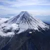 ForestBound - @forestbound9 - TikTok