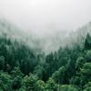 Forest Butler - @forestbutler - TikTok