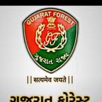 Forest Gohil - Facebook