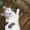 Carter forrest@69696969 - @carter.forrest696 - TikTok